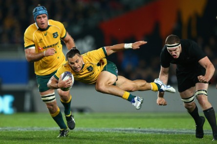 The Wallabies playmaker Matt Toomua against New Zealand during the 2015 Rugby Championship
