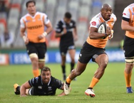 The Cheetahs winger Makazole Mapimpi scored a brace for the Springbok franchise against the Ospreys in Bloemfontein during the 2017-2018 Pro14