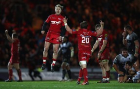 The Scarlets' scrum-half Aled Davies is celebrating at the final whistle after the win against Toulon during the 2017-2018 Champions Cup